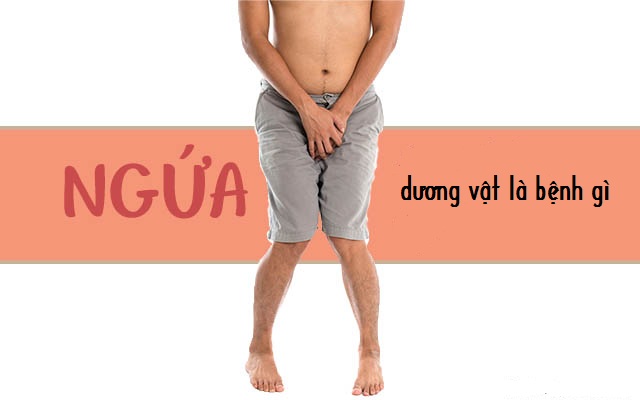 Ngứa đầu dương vật ở nam giới và cách điều trị hiệu quả