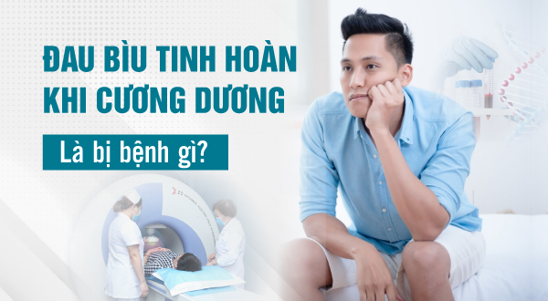 Đau bìu tinh hoàn khi cương dương là bị bệnh gì?