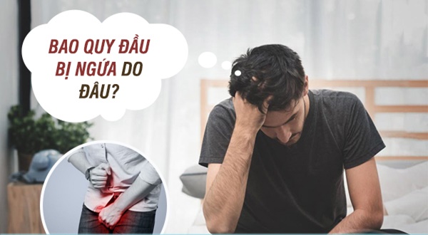 Bao quy đầu bị ngứa là mắc bệnh gì? Khắc phục như thế nào?